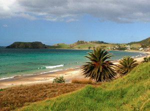 Circuit nouvelle zélande- plage Coromandel