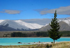 Lac Tekapo- Circuit Nouvelle Zélande