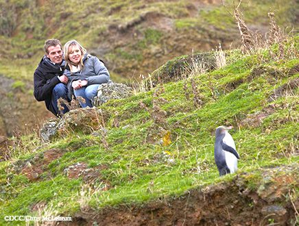 Voyage de noces Nouvelle Zélande « 100% Nature » 23 jours