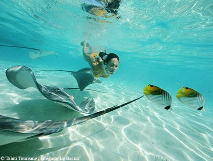 voyage australie nouvelle zelande polynesie