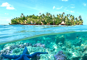 fidji paysage