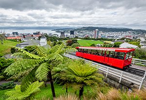 Circuit guidé en français de 15 jours « Aotearoa »