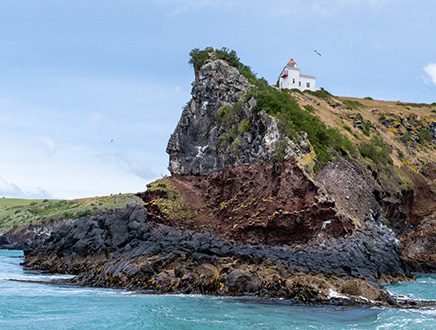 Visite guidée en français de Dunedin et de la péninsule d’Otago