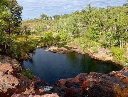 Litchfield National Park, 3 jours d’aventure, guidé en français