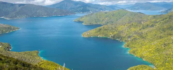 Panorama ensoleillé sur la mer et les collines de Queen Charlotte Sound en Nouvelle-Zélande